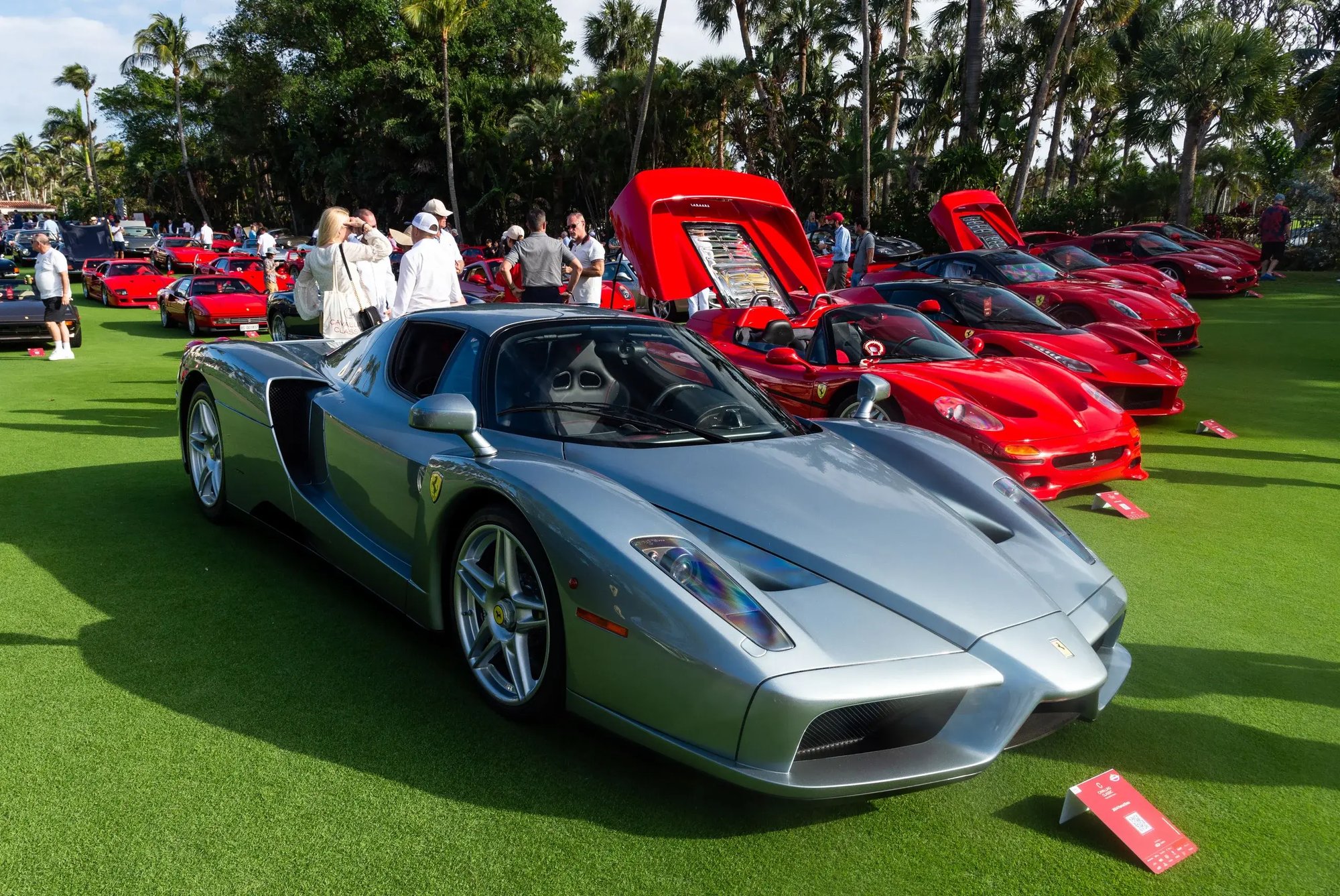 CavallinoClassic2024-555__1_ CavallinoClassic2024-555__1_